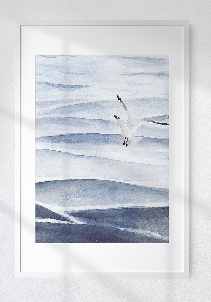 Seagull Taking Flight