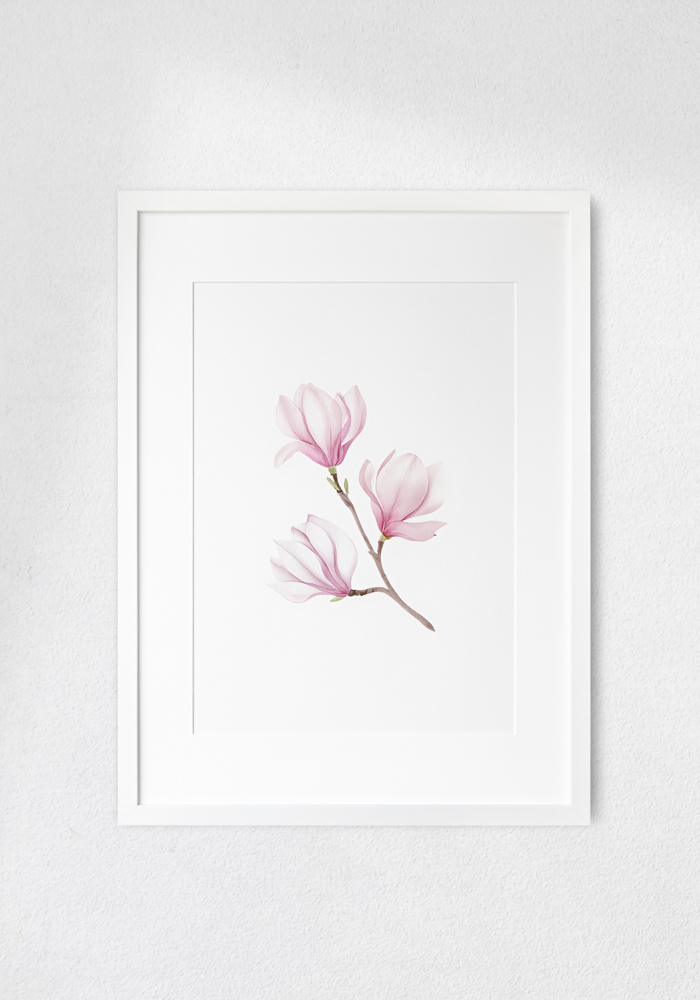 Magnolia – "Whisper of Spring"