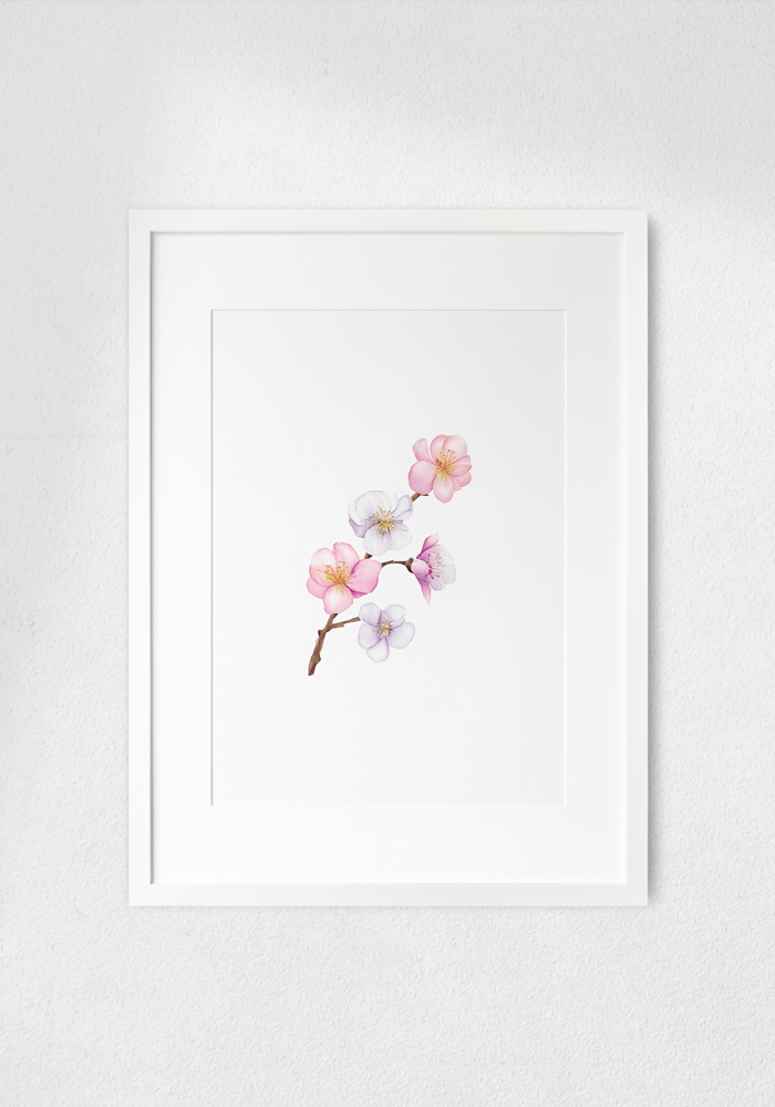 home decor with the graceful plum blossoms