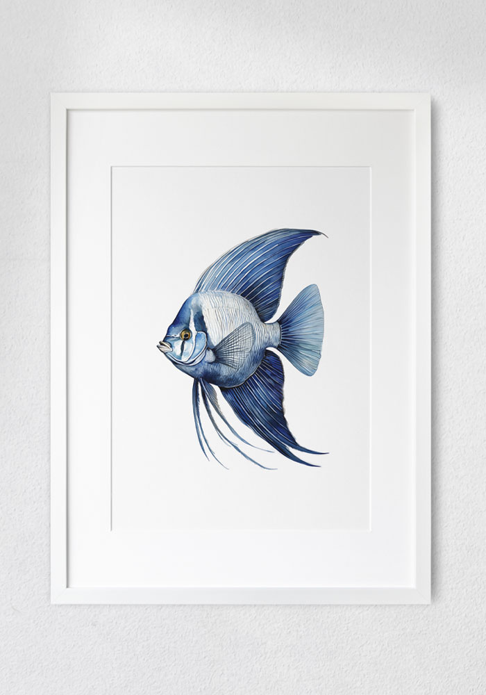 Elegant navy watercolor angelfish illustration, Art wall, Poster, Decoration