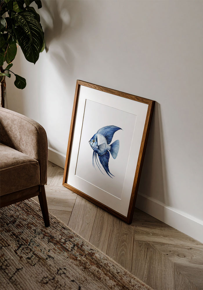 Elegant navy watercolor angelfish illustration, Art wall, Poster, Decoration