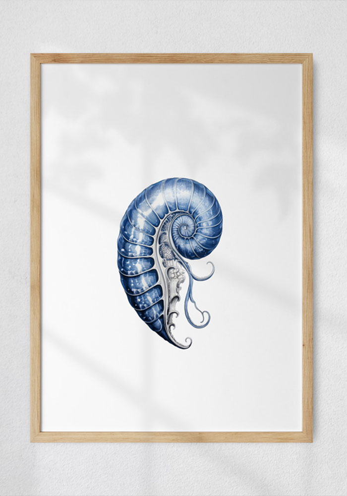 seashell watercolor print.