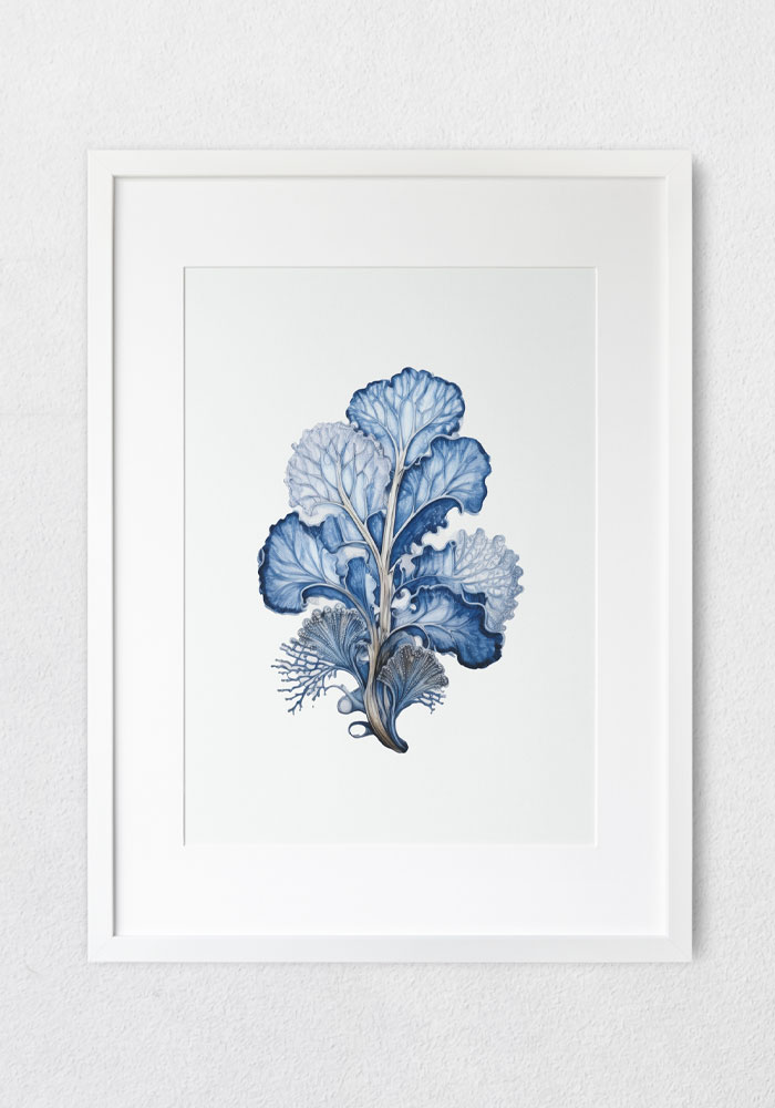 Seaweed – Coastal Botanical Art Print Navy watercolor seaweed illustration with soft lines and natural marine elegance, art, poster, decoration, print